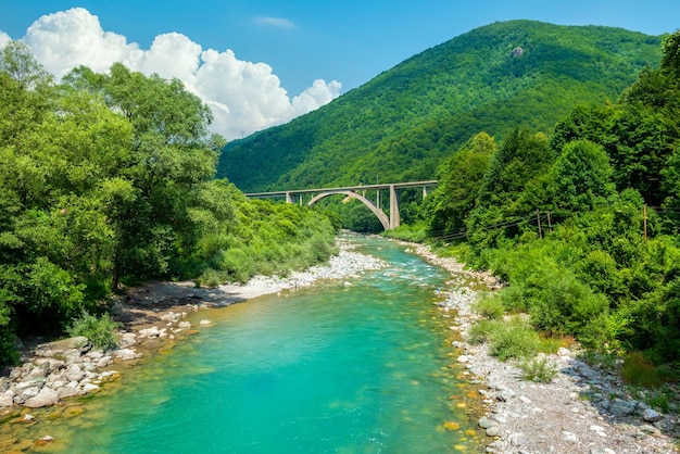 Montagnes et rivière Tara