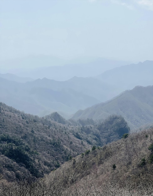 Les montagnes sont au loin et le brouillard est bleu.