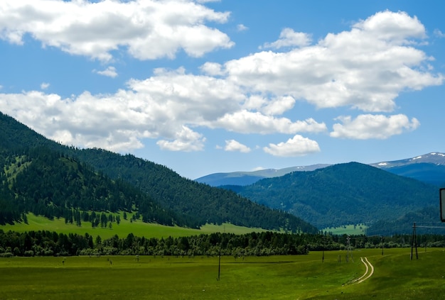 Les montagnes sont couvertes d'arbres verts Pins Arbres de Noël dans les montagnes La nature du Canada La nature de la Russie La nature des États-Unis