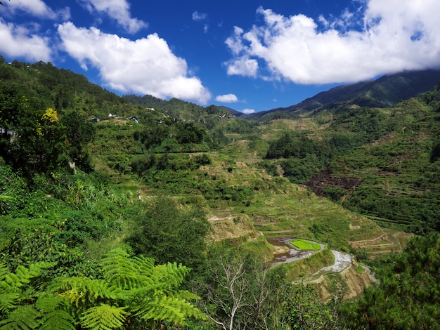 Montagnes et vallées à Banaue, Philippines