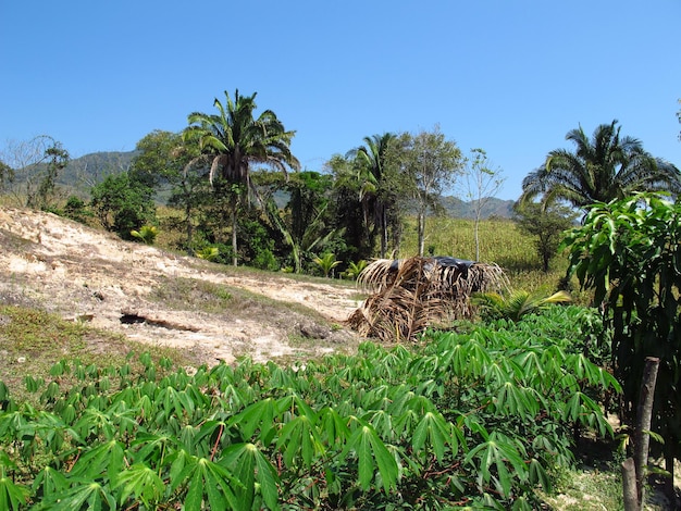 Montagnes et vallées du Honduras