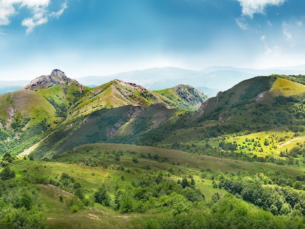 Montagnes vertes couvertes de forêt sur le ciel bleu