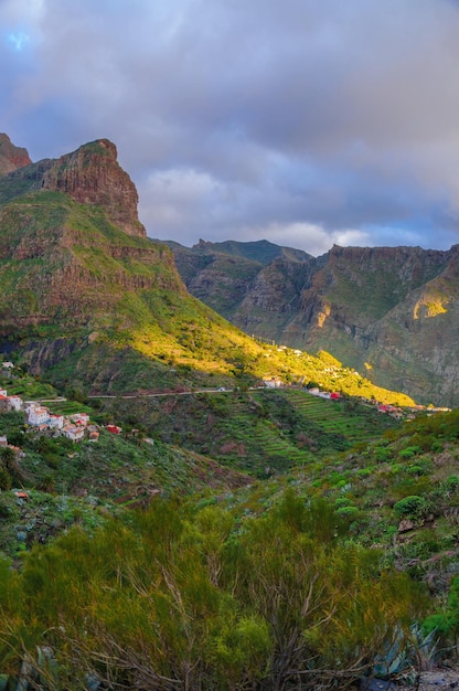 Montagnes vertes dans les îles Canaries de Tenerife