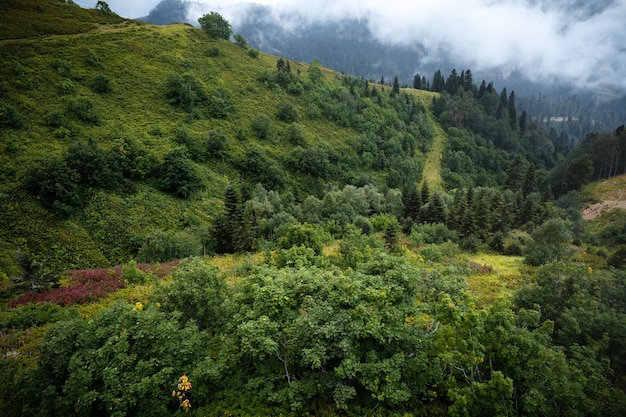 Montagnes vertes scéniques et beaux nuages de ciel pour le fond