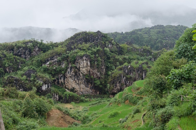 Montagnes vietnamiennes