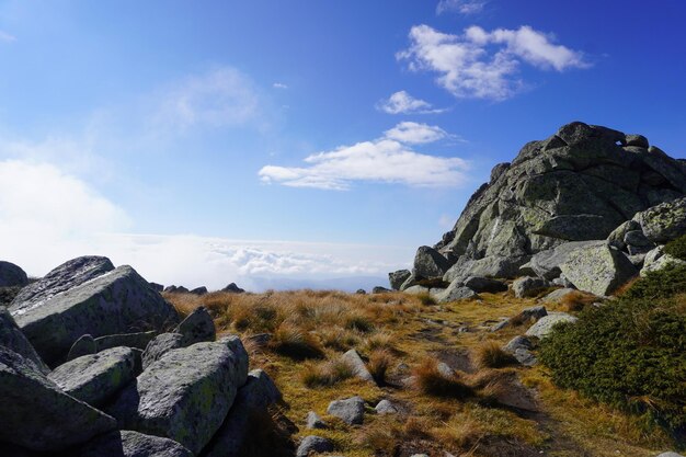 Photo les montagnes de vitosha à sofia, en bulgarie