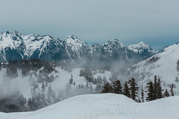 Montagnes à Washington