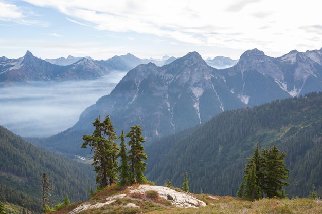 Montagnes à Washington