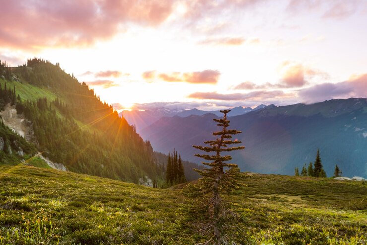 Les montagnes de Washington