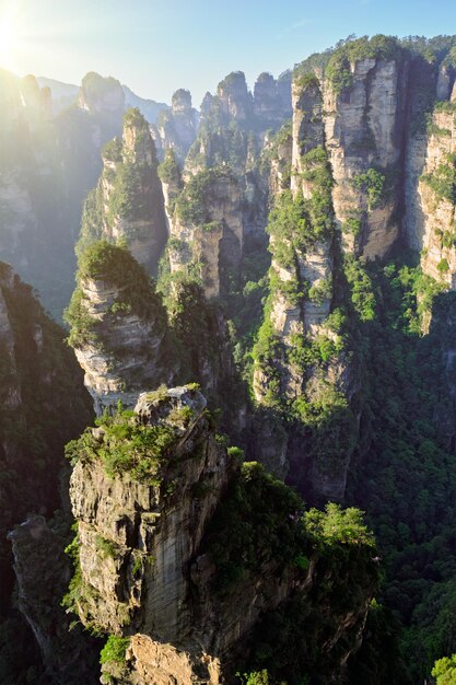 Photo les montagnes de zhangjiajie en chine