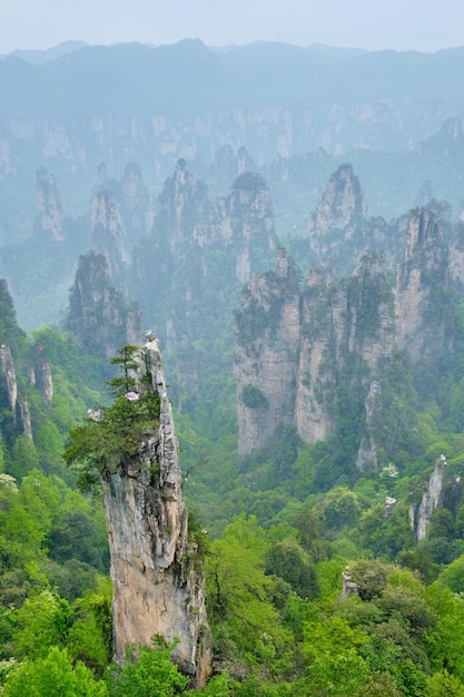 Photo les montagnes de zhangjiajie en chine