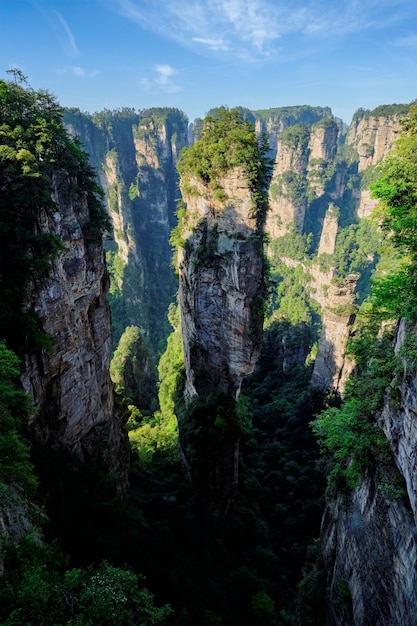 Photo les montagnes de zhangjiajie en chine