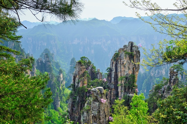 Montagnes de Zhangjiajie, Chine