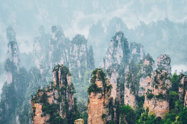 Montagnes de Zhangjiajie, Chine