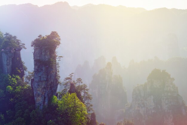 Montagnes de Zhangjiajie, Chine