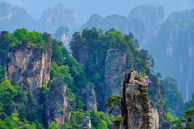 Montagnes de Zhangjiajie, Chine