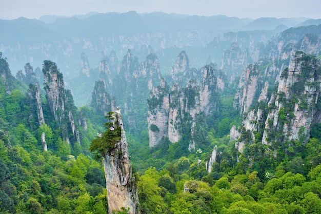 Photo montagnes de zhangjiajie chine