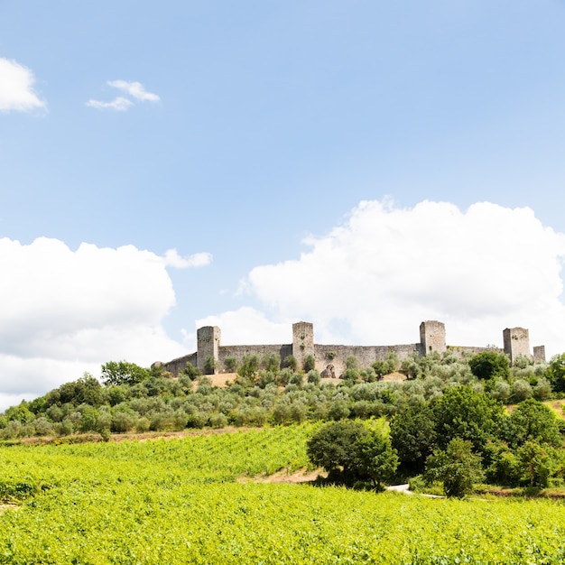 Monteriggioni, région Toscane, Italie. Vignoble devant les anciens remparts médiévaux