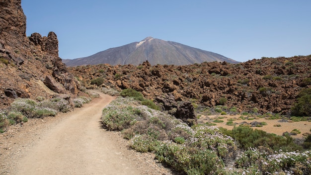 Montez Au Parc National Du Teide Dans La Montagne Guajara.