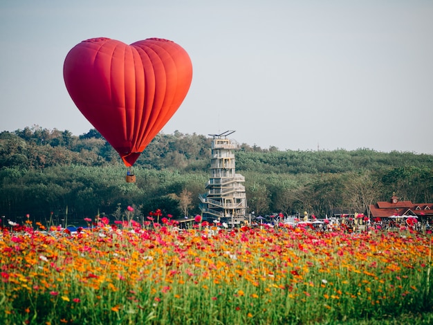 Montgolfière rouge en forme de coeur sur un champ de fleurs de cosmos