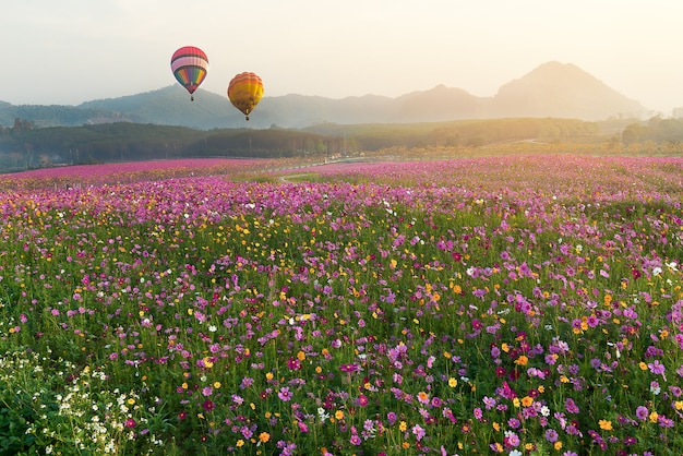 Montgolfières colorées tôt le matin