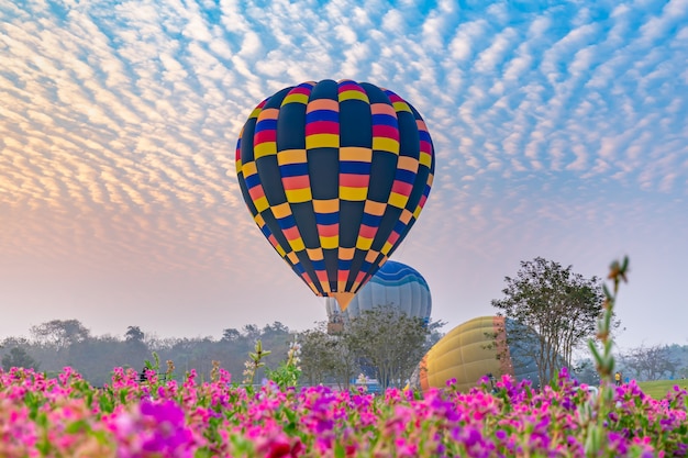 Montgolfières survolant le champ de fleurs avec le lever du soleil à la province de Chiang Rai, Thaïlande