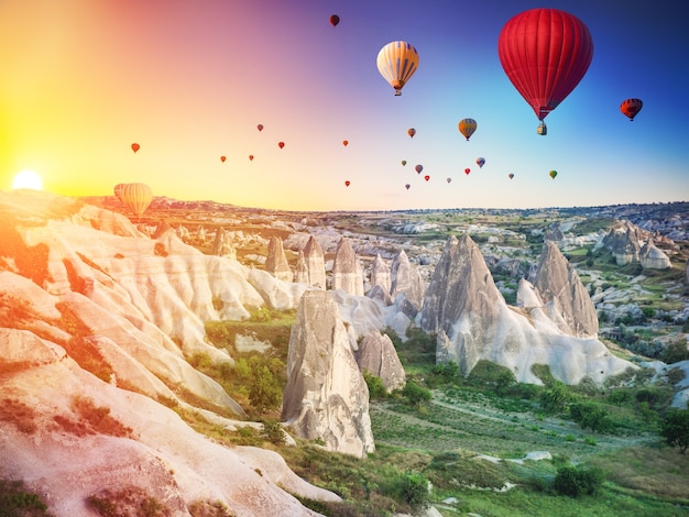 Montgolfières survolant la spectaculaire cappadoce