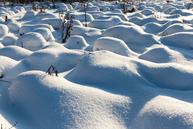 monticules dans le marais grandes congères après les chutes de neige et les blizzards