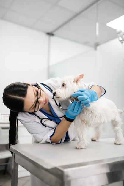 Montrant les pattes. Chien blanc montrant ses pattes à un vétérinaire professionnel attentionné en uniforme