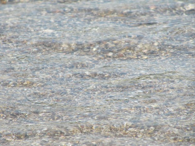 Montre l'écume de la plage de l'étang de la faune des vagues de la mer