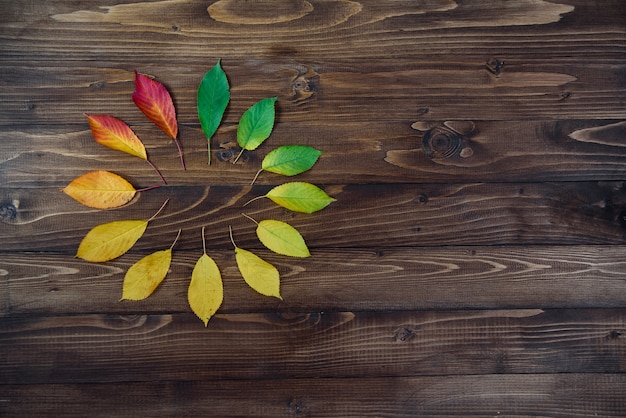 Montre naturelle des feuilles d'automne. Concept d'horloge. Feuilles d'automne transition du vert au rouge sur fond en bois