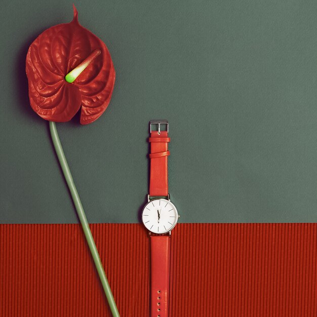 Montres élégantes rouges. Conception de minimalisme.