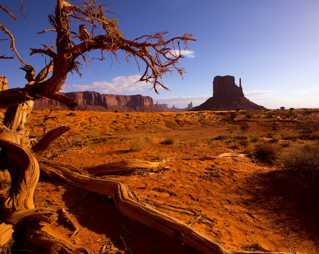 Monument West Mitten Butte dans l&#39;Utah matin