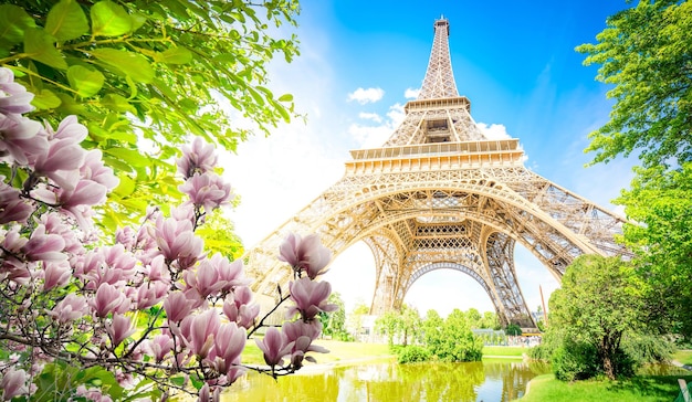 Monuments célèbres de Paris Tour Eiffel dans un parc verdoyant au printemps avec des fleurs de magnolia Paris France bannière web