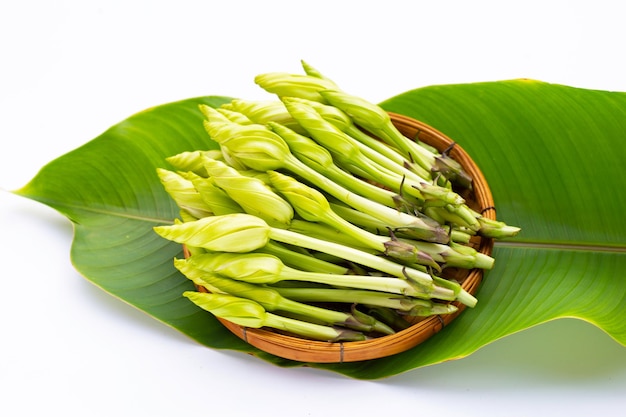 Moonflower ou Ipomoea alba L pour la cuisine