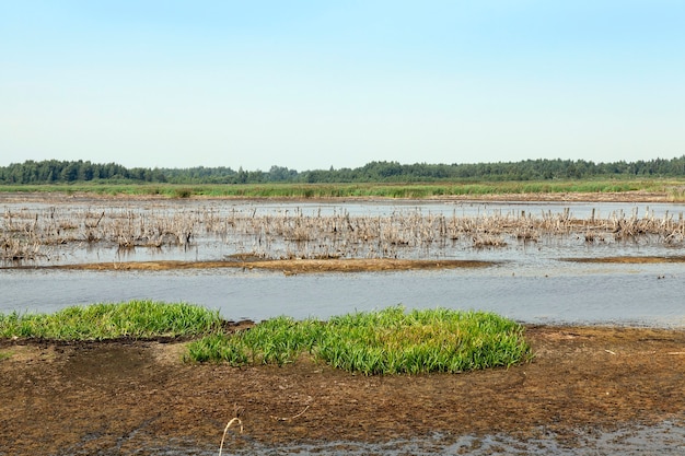 Moorland en été