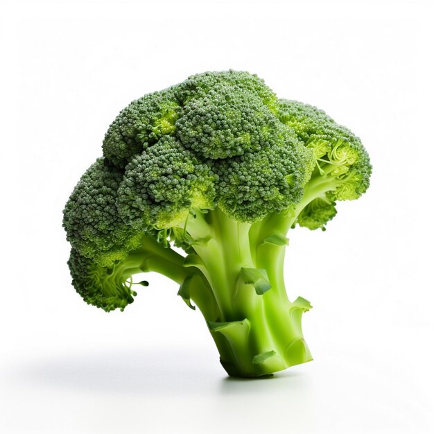 Photo un morceau de brocoli est affiché sur un fond blanc.