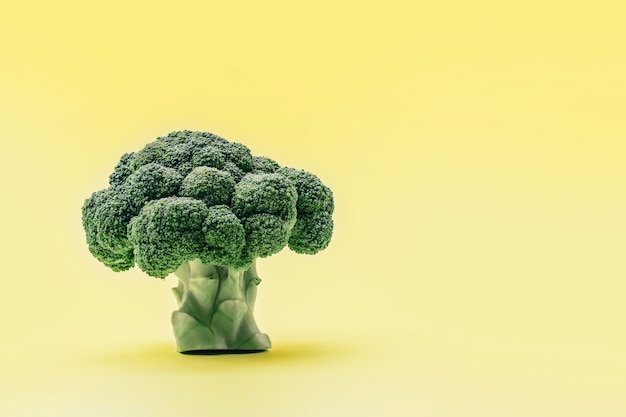 Morceau de brocoli sur fond jaune comme un arbre.