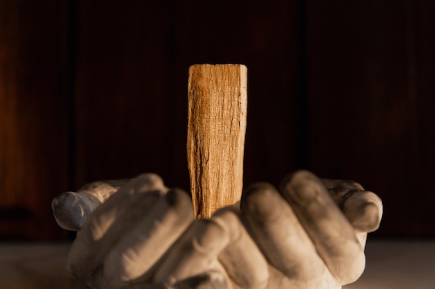 Un morceau entier de bois de palo santo pour la méditation sur les paumes