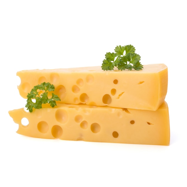 Morceau de fromage gourmand
