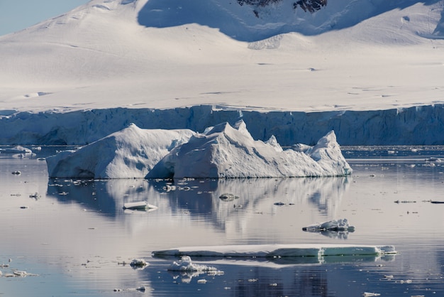 Morceau de glace dans l'eau