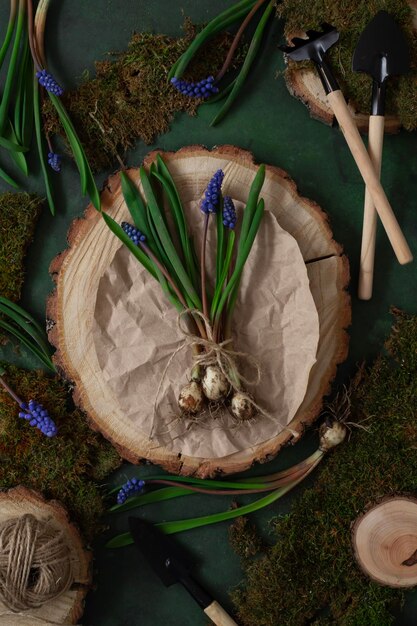 Un morceau de papier en bois avec un bouquet de Muscari dessus