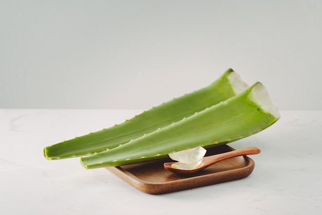 Morceaux d'aloès et feuilles fraîches sur fond blanc.