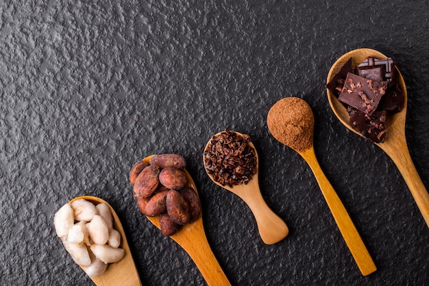 Morceaux de chocolat noir broyés et fèves de cacao, vue de dessus