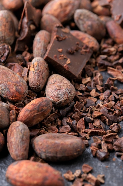 Photo morceaux de chocolat noir écrasés et fèves de cacao, vue de dessus