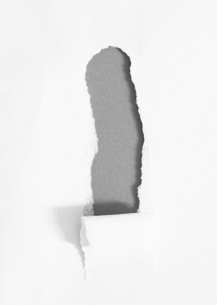 Photo morceaux de fond de papier déchiré avec espace de copie pour le texte