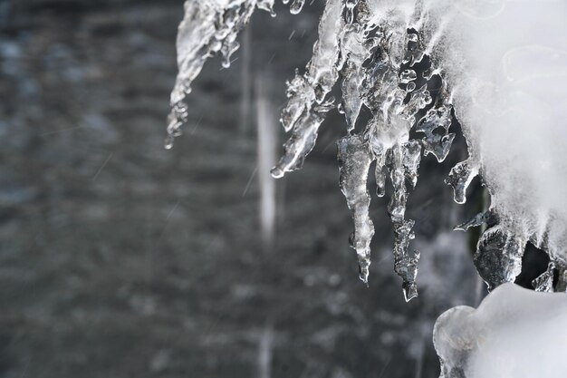 Morceaux de glace congelés en gros plan d'hiver