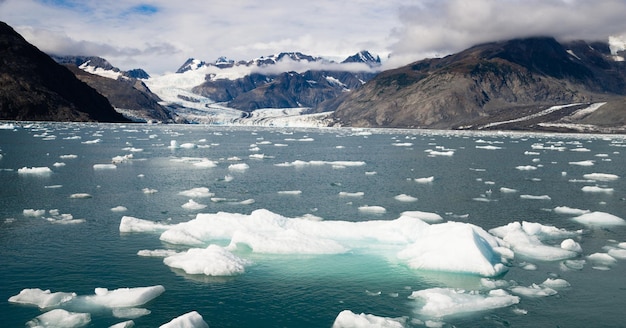 Des morceaux de glace éclipsés par les montagnes Aialik Glacier Alaska Kenia Fjords