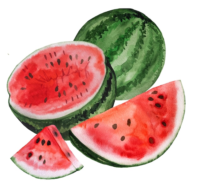 Morceaux de melon d'eau juteux rouges moitié et fruits entiers avec des graines Illustration de fruits tropicaux aquarelle Aliments sains Élément de conception d'été