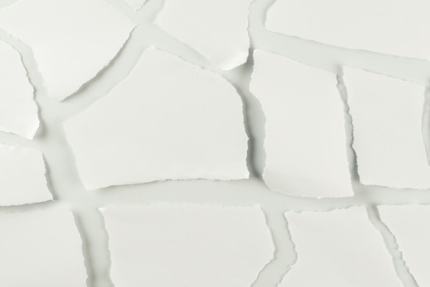 Morceaux de papier blanc vides isolés